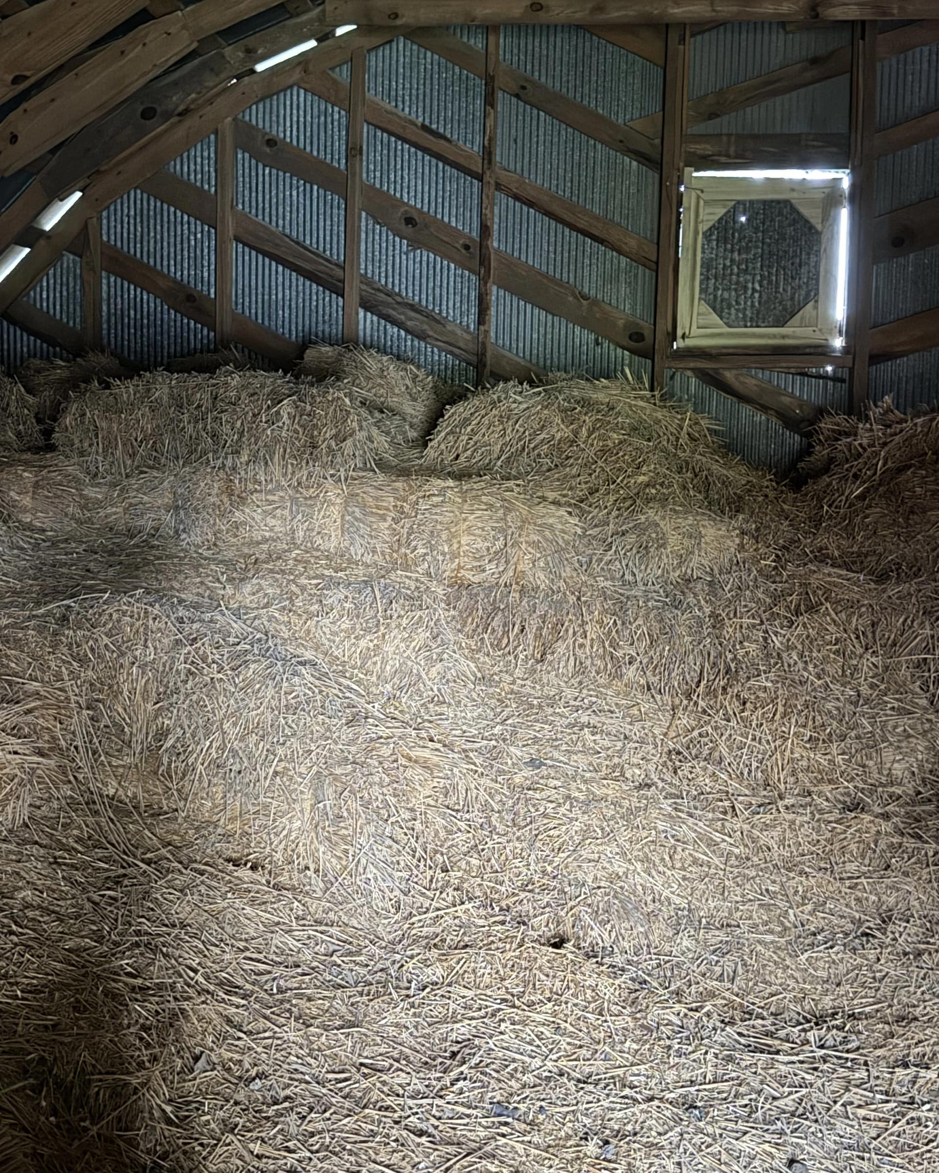 Hay-filled barn loft with exposed metal siding and diagonal bracing during structural repair work.
